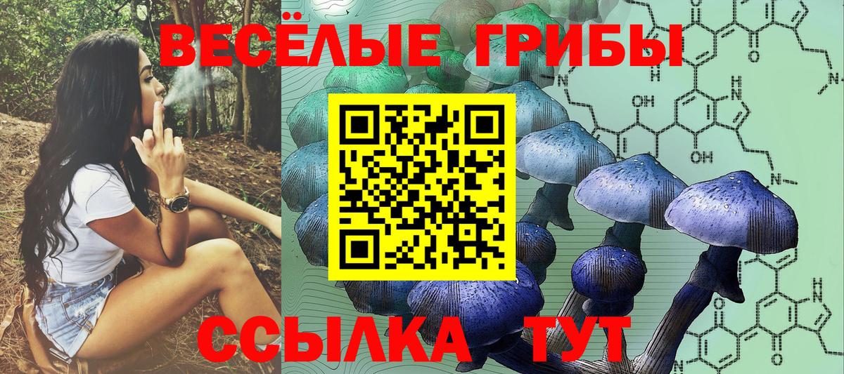 Галлюциногенные грибы мицелий  Галлюциногенные грибы мухоморы  Вход с VPN  Симферополь 