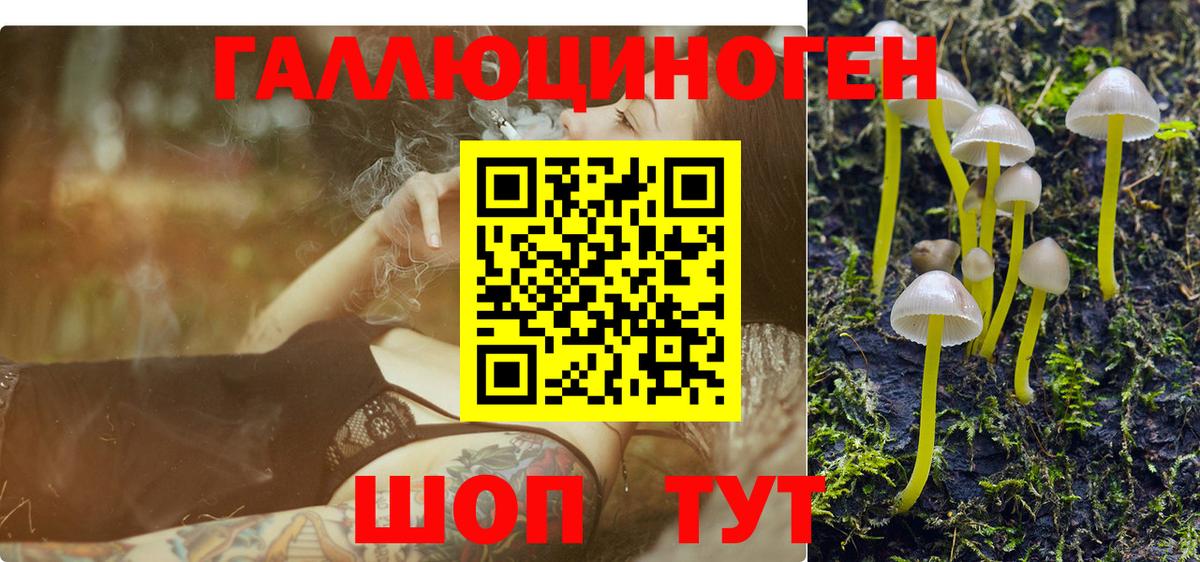 Галлюциногенные грибы MAGIC MUSHROOMS Симферополь